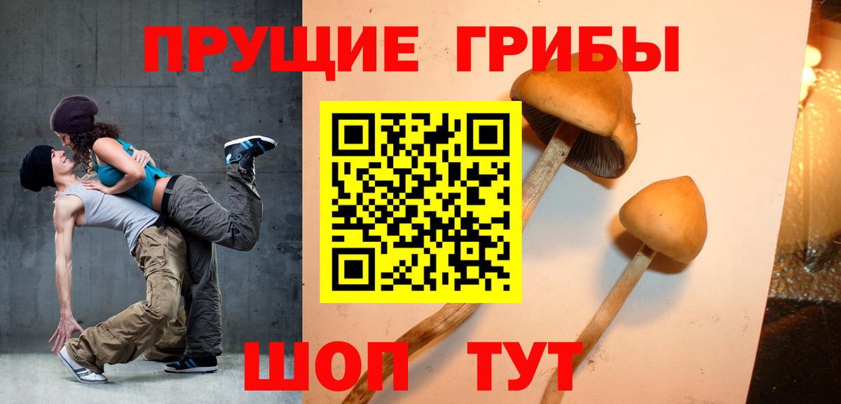 Тавда  Вход с VPN  Экстази  МЕФ   МАРИХУАНА  КОКАИН  A PVP СОЛЬ   ГАШИШ 