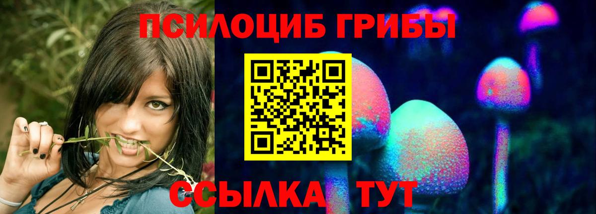Псилоцибиновые грибы прущие грибы  Псилоцибиновые грибы мухоморы  Тавда  Вход с VPN 